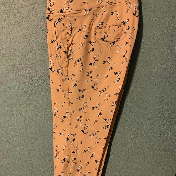 Lane Bryant Pants - Lane Bryant Allie ankle pant